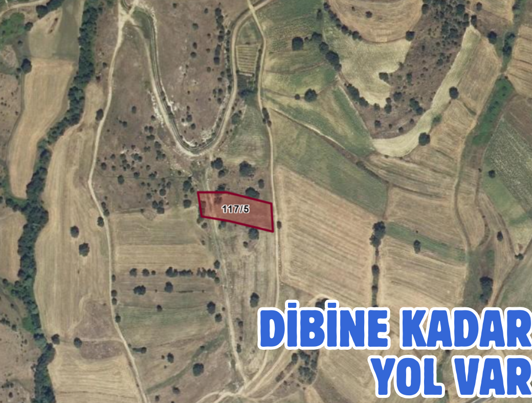 SAMSUN HAVZA DEMİRYURT 2.737M² TARLA SATILIKTIR - SAMSUN HAVZA fotoğraf 3